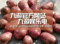 产品展示标题5