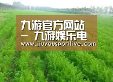 种植基地四