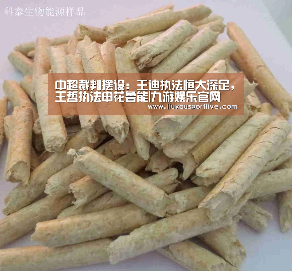中超裁判摆设:王迪执法恒大深足,王哲执法申花鲁能|九游娱乐官网(图1) 九游网页版