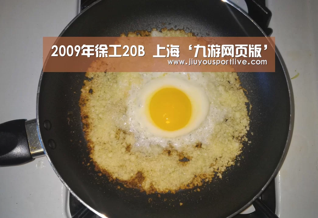 2009年徐工20B 上海‘九游网页版’(图4)
2009年徐工20B 上海‘九游网页版’(图4)