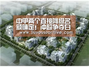 中甲两个直接降级名额确定!冲超争夺白热化,最后一轮见分晓-九游网页版(图1) 中甲两个直接降级名额确定!冲超争夺白热化,最后一轮见分晓-九游网页版(图1)