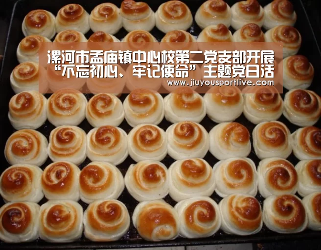 漯河市孟庙镇中心校第二党支部开展“不忘初心、牢记使命”主题党日活动-jiuyou(图4) 九游网页版
